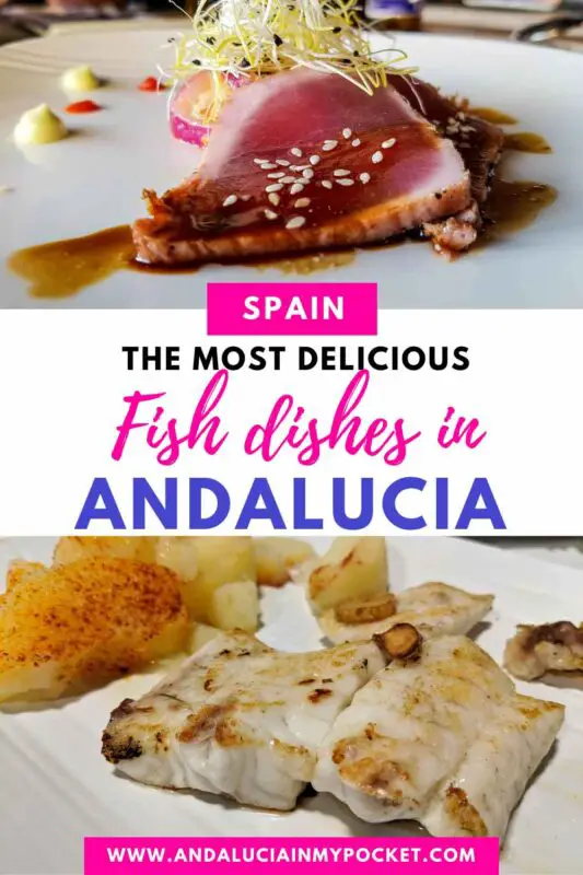 The Best Fish Dishes in Andalucia pin