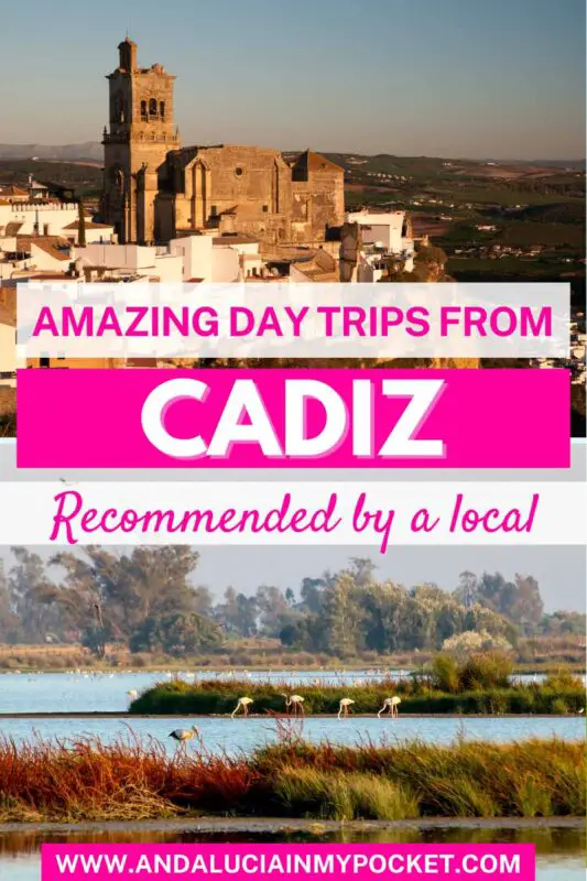 Day trips from Cadiz pin 