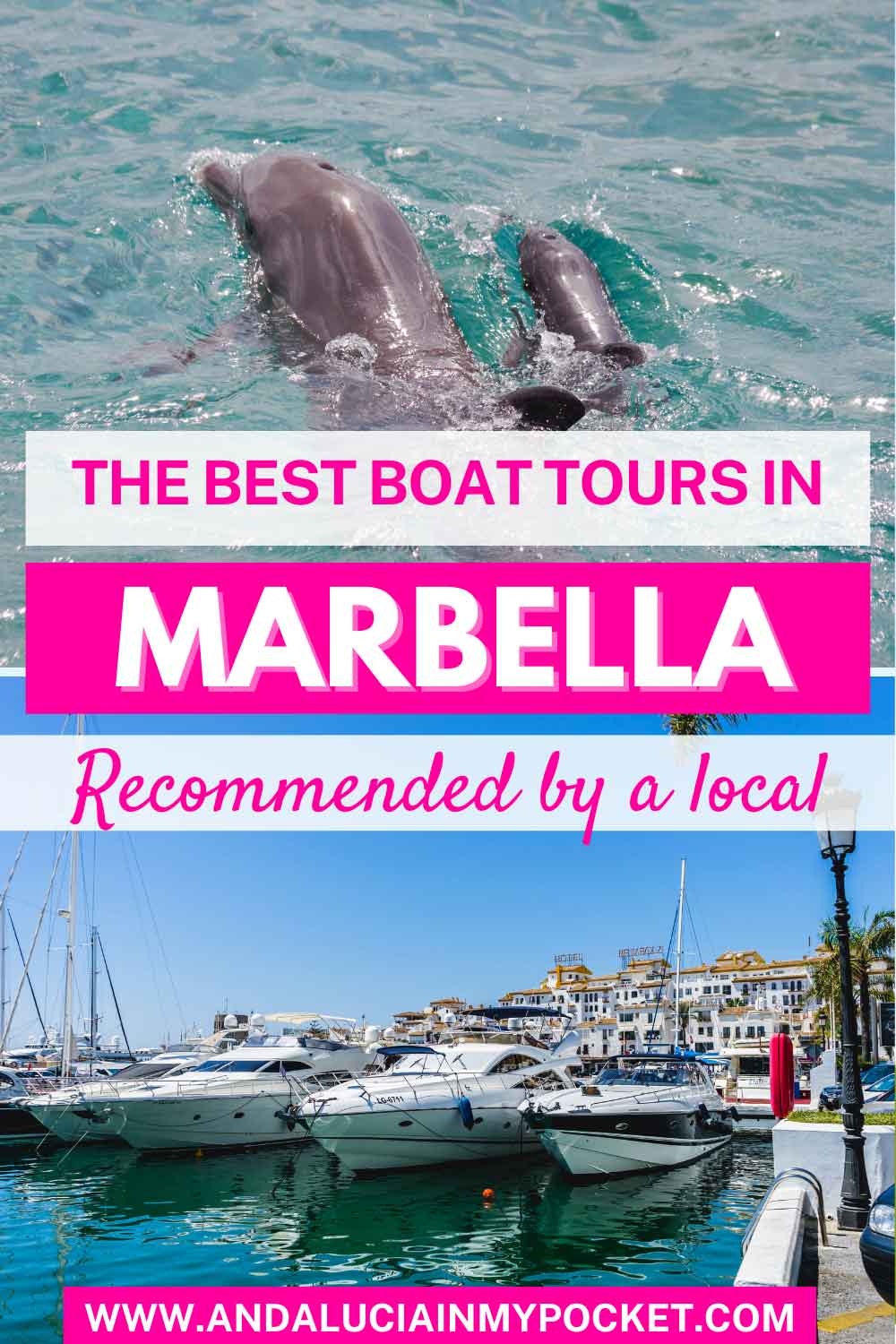 The Best Marbella Boat Trips: Dolphins, Sun, Sea, And Sangria