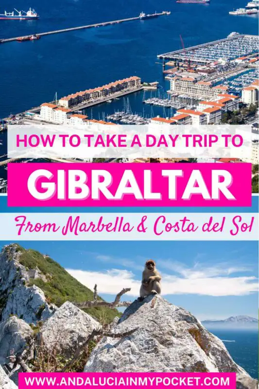 How to Take a Marbella to Gibraltar Day Trip pin