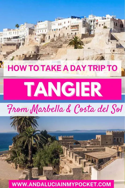 How to Take a Marbella to Tangier Day Trip pin